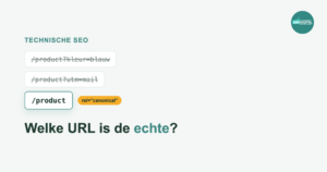 Twee parameter-URLs doorgestreept en een canonical die naar de schone product-URL wijst